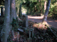 image0009
