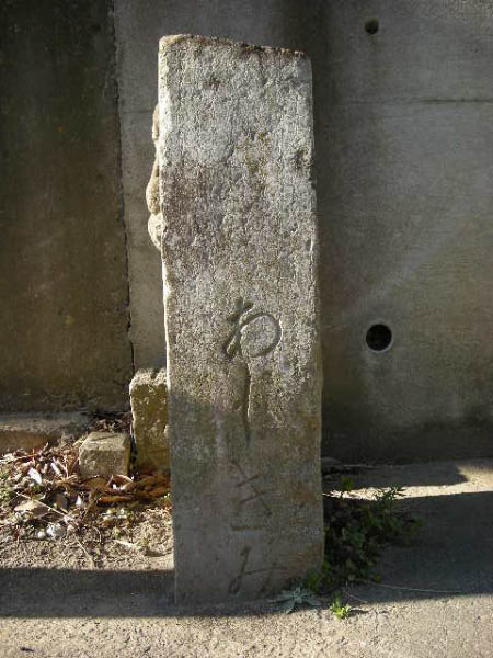 image0008