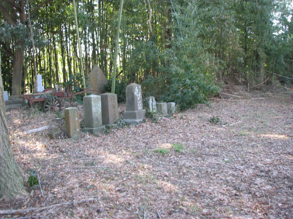 image0009