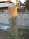 image0004