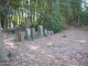image0009