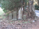 image0016