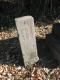 image0021