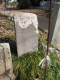 image0029