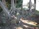 image0004
