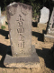 image0011