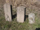 image0008