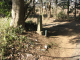image0019