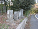 image0037