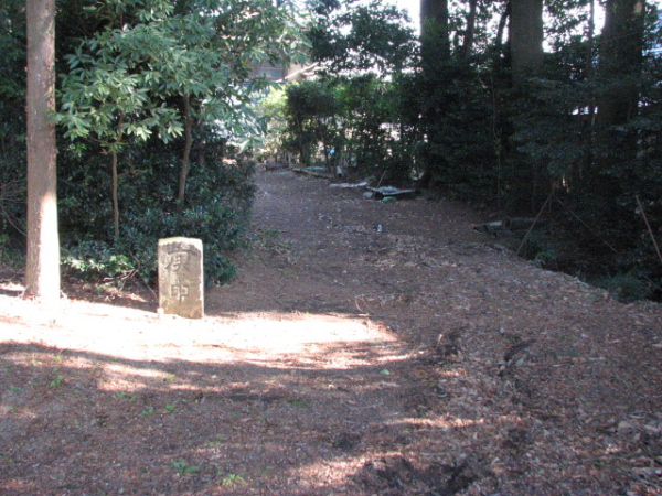 image0020