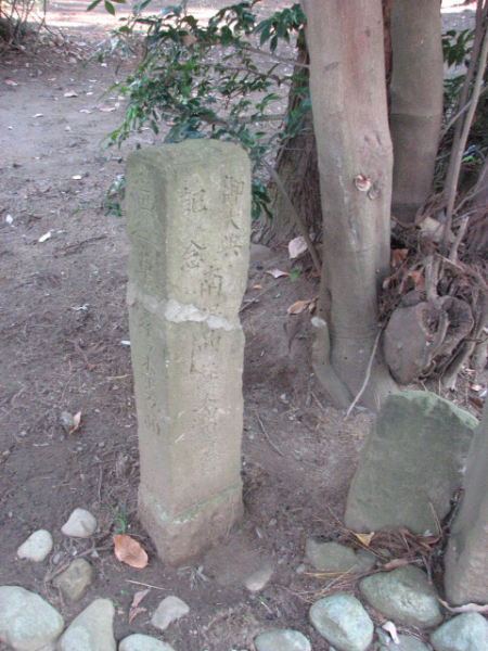 image0033