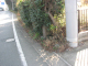image0003