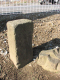 image0016