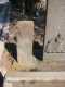 image0031