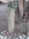 image0033