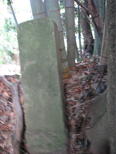 image0014