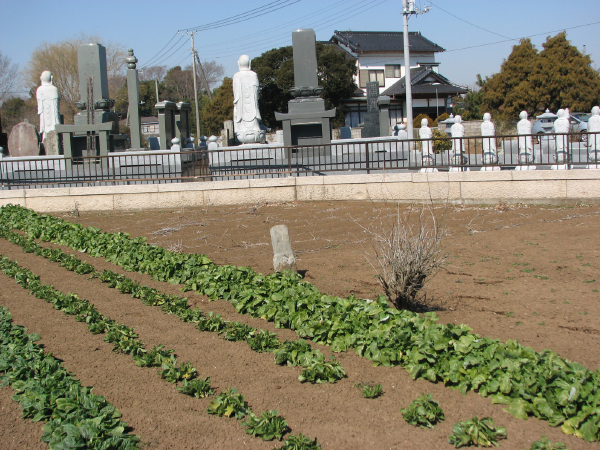 image0017