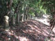 image0000