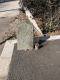 image0004