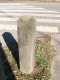 image0008