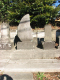 image0012