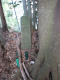 image0013