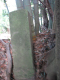 image0014