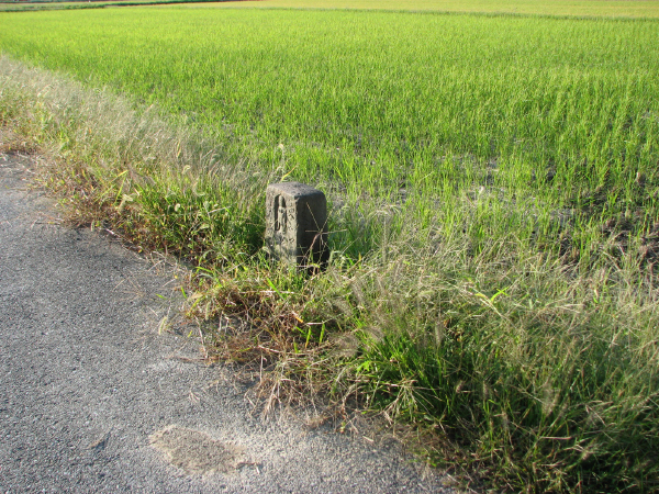 image0006