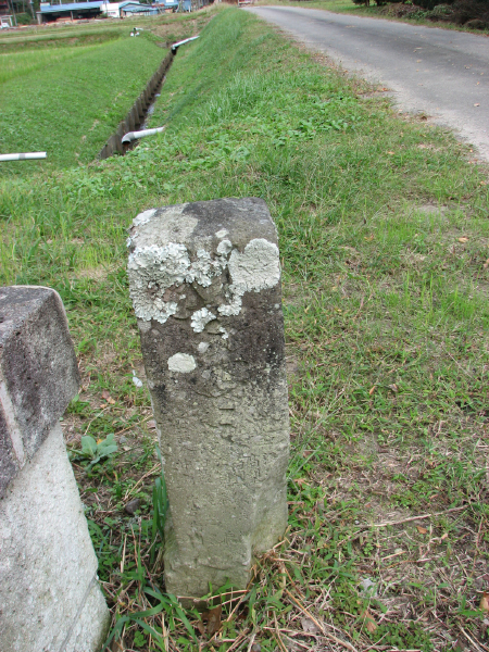 image0018