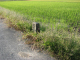 image0006