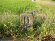 image0008