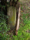 image0038