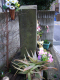 image0039