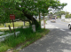 image0008