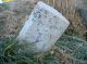 image0007