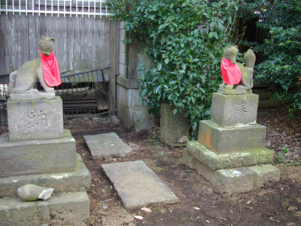 image0035
