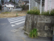 image0021