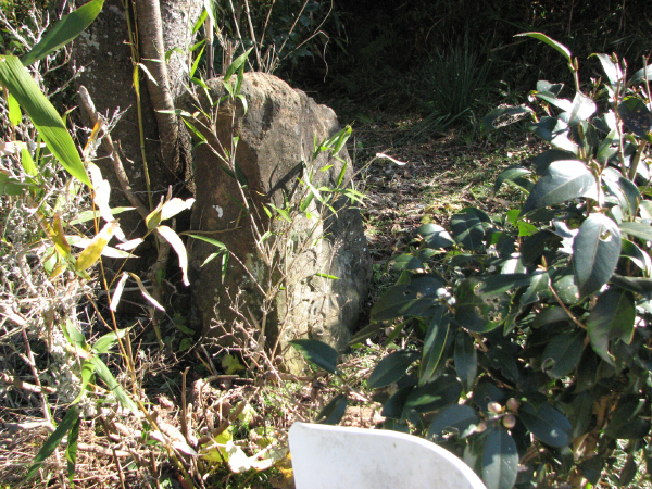 image0013