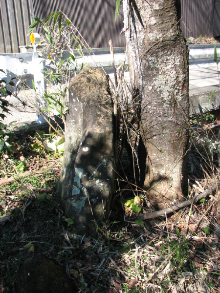 image0014