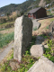 image0007