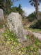 image0008