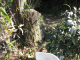 image0013