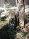 image0014
