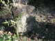 image0015