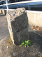 image0023