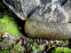 image0002
