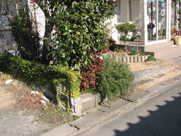 image0005