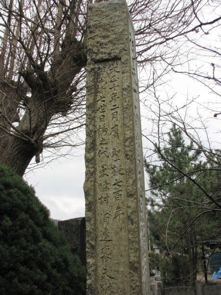 image0019