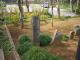 image0003