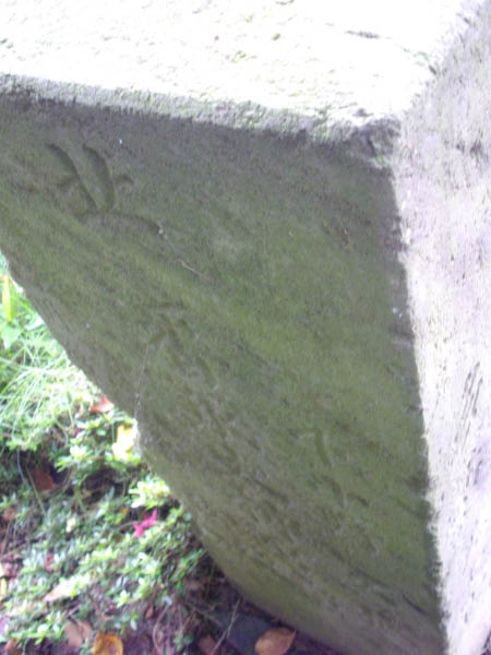 image0007